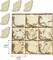 Pack Unfinished Wooden Ocean Sea Animals Cutouts for DIY Crafts 3.5 Inch 5 Peices Each